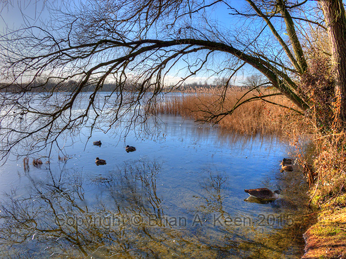 Willen Lake