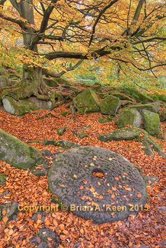 Padley Gorge