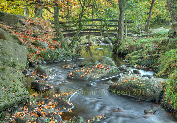 Padley Gorge