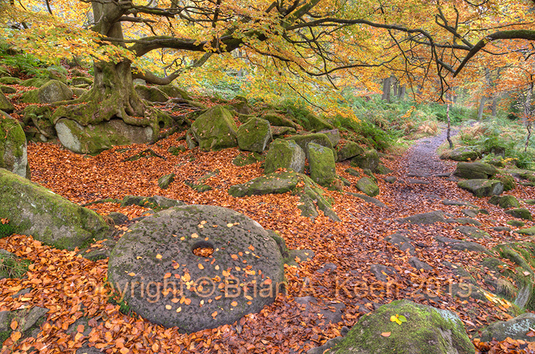 Padley Gorge