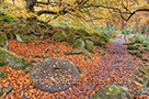 Padley Millstone