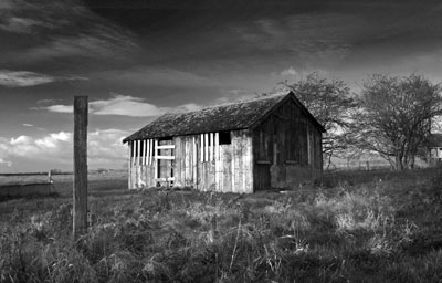 Barn Mono 046_0619