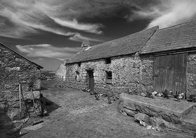 Chicken Farm Mono 069_0203