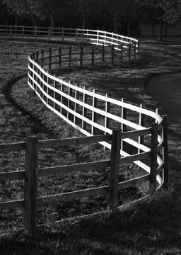 Fence 460_26