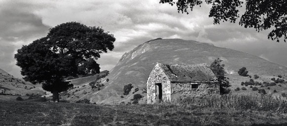 Field Barn 028_16