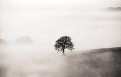 Fog 004_24