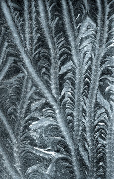 Frost Patterns 080_14