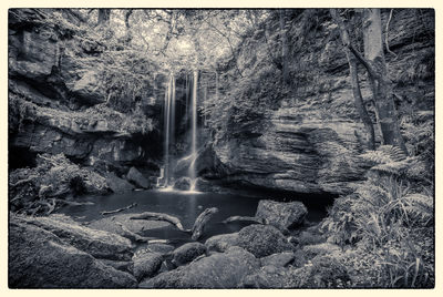 Roughting Linn Mono D810_013_1501