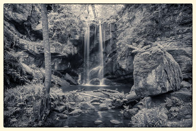 Roughting Linn Mono D810_013_1506