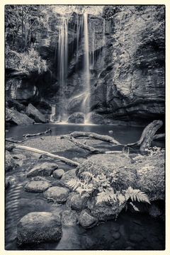 Roughting Linn Mono D810_013_1515-2