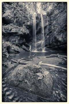 Roughting Linn Mono D810_013_1536