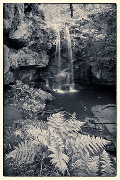 Roughting Linn Mono D810_013_1548