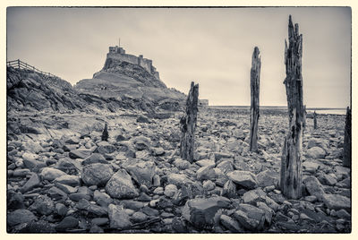 Lindisfarne Mono D810_013_1594