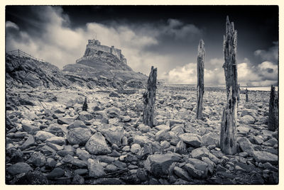 Lindisfarne Mono D810_013_1598