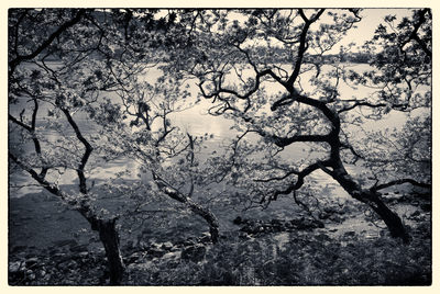 Loch Morar Mono D810_012_0862