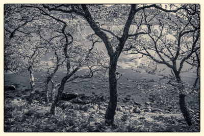 Loch Morar Mono D810_012_0865