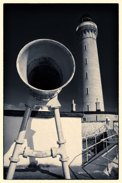 Foghorn Mono D810_012_1082