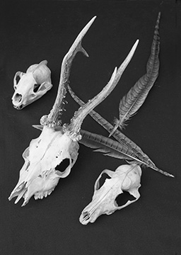 SkullsMono_092_0390