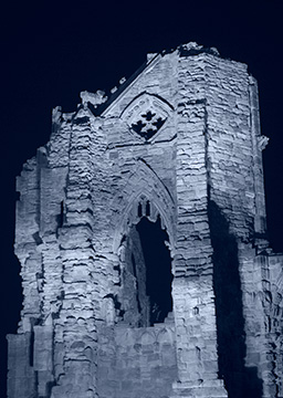 WhitbyAbbeyMonoToned 112_0216