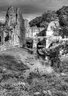 Fountains Abbey