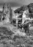 FountainsAbbey 111_0023-25_mono_tm