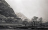 Glencoe 066_09