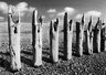 Eroded Groynes 169_02