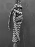 Rope G075_1876