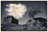 Castle Tioram Mono D810_012_1041