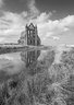 Whitby Abbey