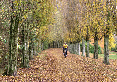 AutumnBiker 142_0007_tm