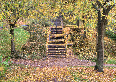 AutumnSteps 142_0033_tm