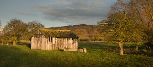 Barn 046_0608