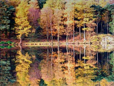 Blea Tarn Reflections 376_06