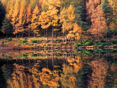 Blea Tarn Reflections 376_05