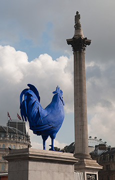 BlueCock 083_0361