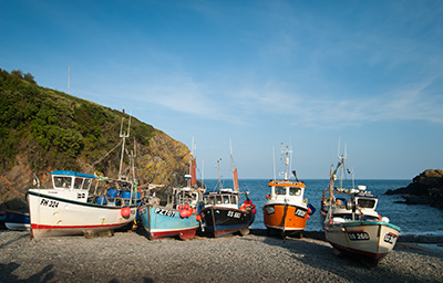 Cadgwith Boats 090_1344