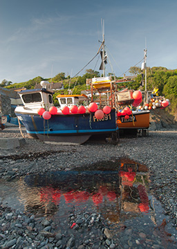 Cadgwith Boats 090_1352