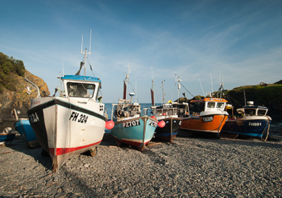 Cadgwith Boats 090_1356