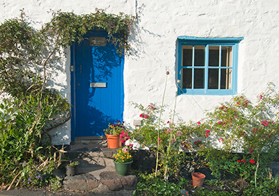 Cadgwith Cottage 090_1338