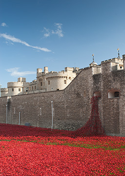 CeramicPoppies 116_0264