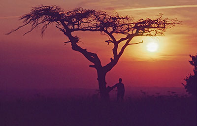 Coombe Hill Sunset