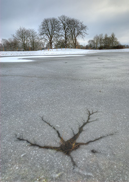 CrackedIce 126_0048-50_tm