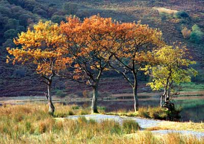 Crummock Water 417_06