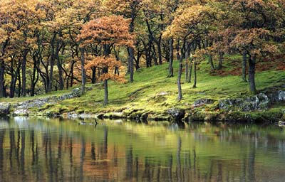 Crummock Water 374_12