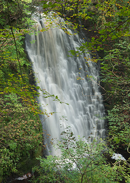 FallingFoss_114_0254