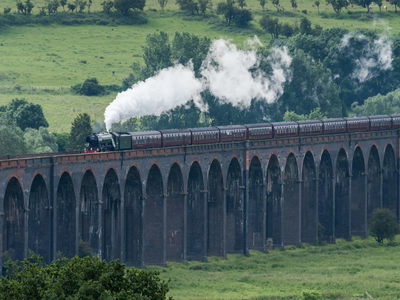 Flying Scotsman D810_017_0005