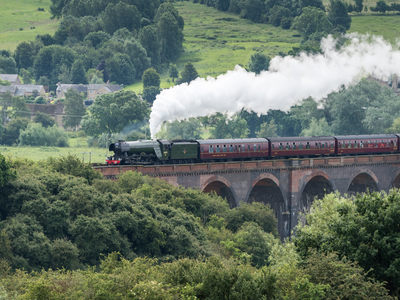 Flying Scotsman D810_017_0012