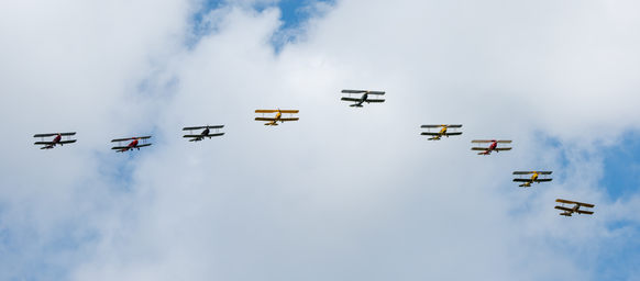 Tiger Moths D810_019_0248