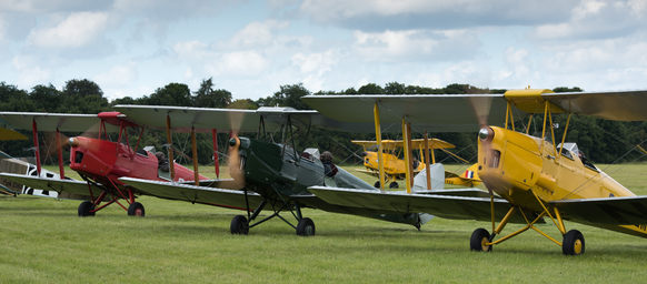 Tiger Moths D810_019_0275